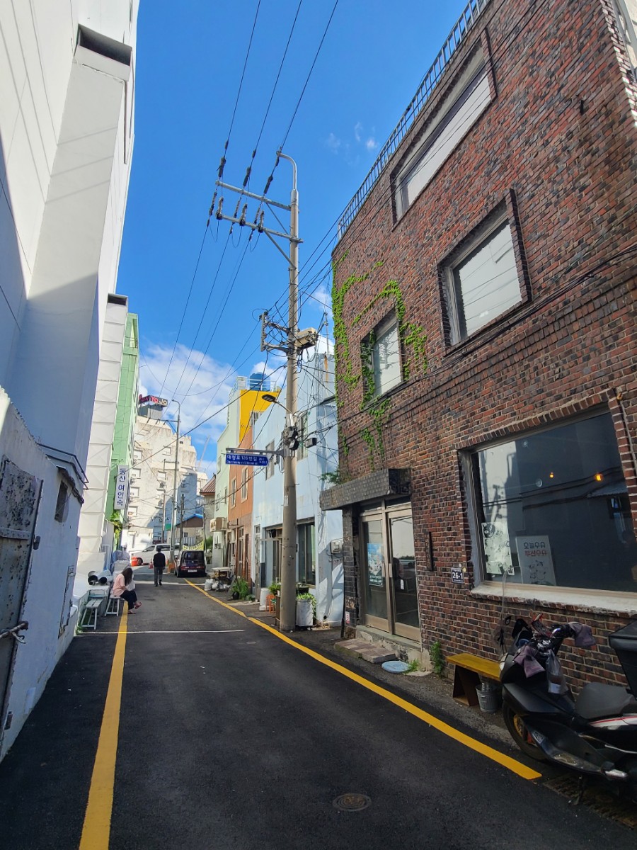 백설사 이미지