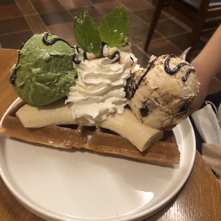 이솝포토 이미지