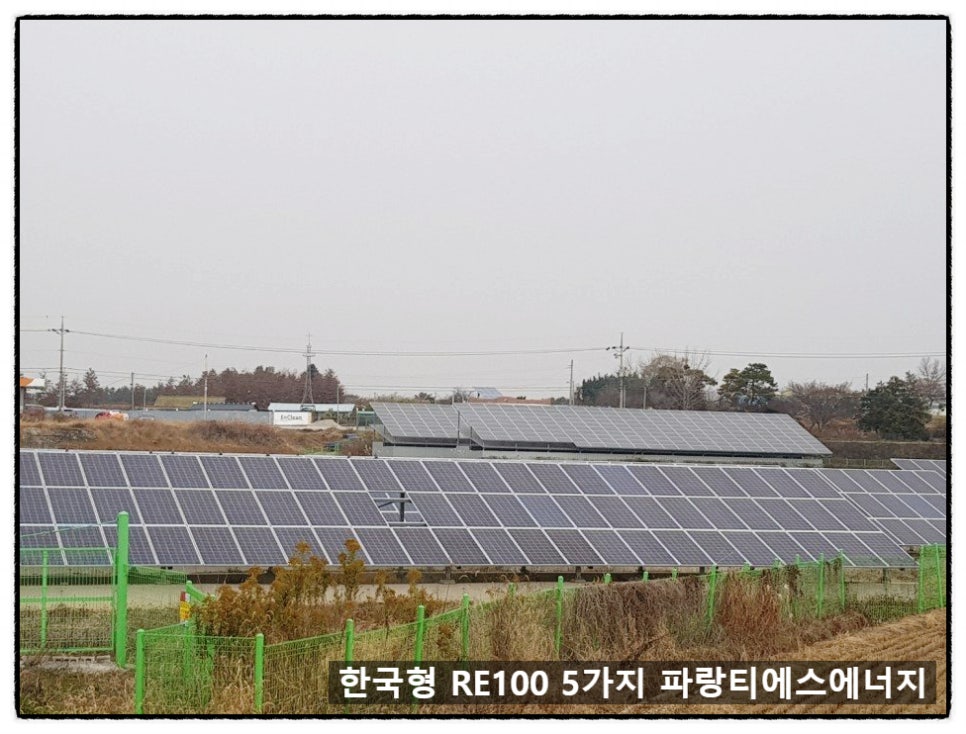 티에스글로벌주 이미지