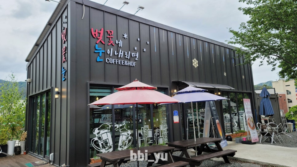 벚꽃에눈이내리면 이미지