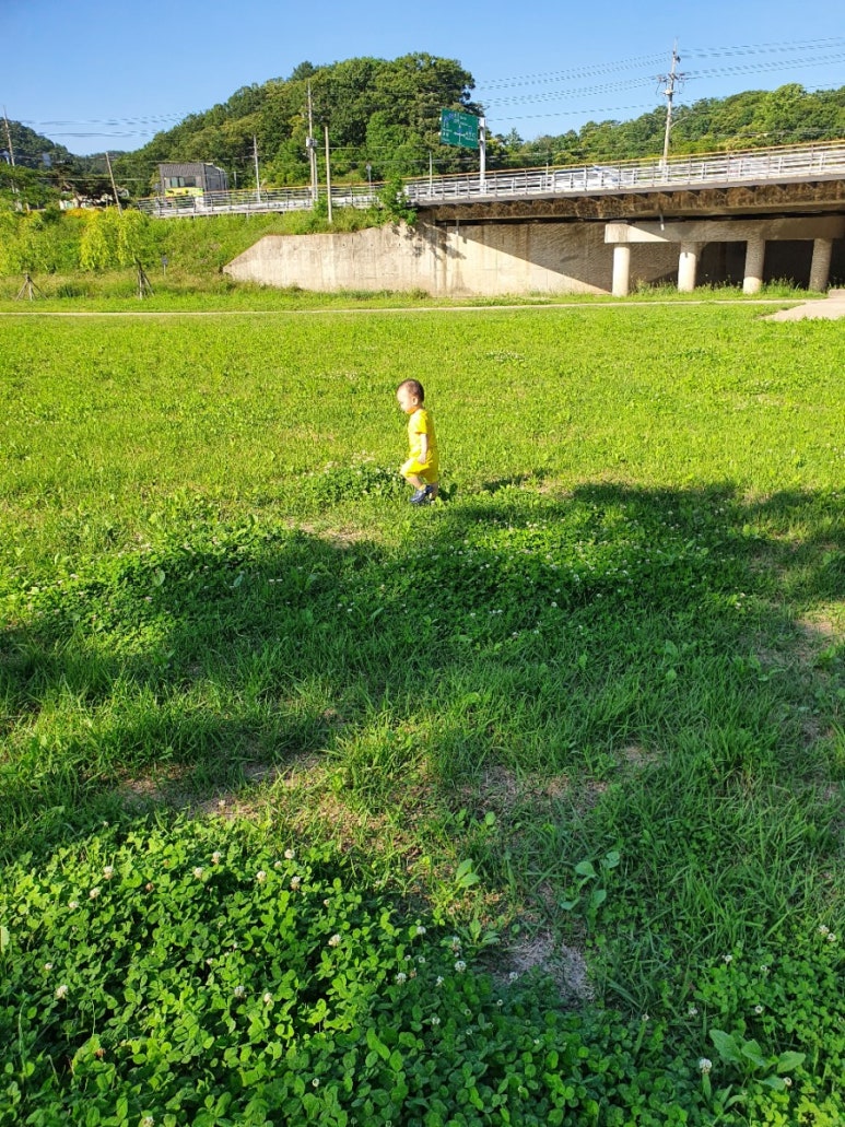 소미테크 이미지