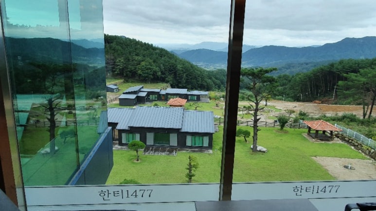 한티1477 이미지