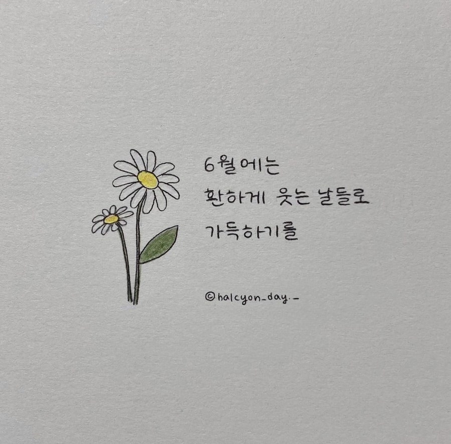 인생횟집 이미지