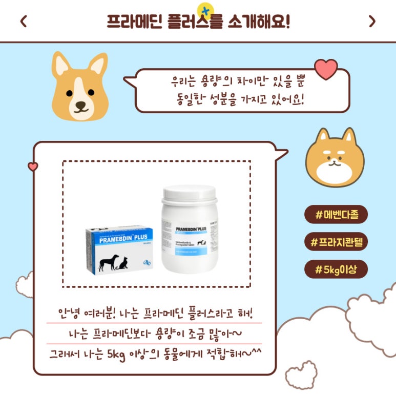 프라메디 이미지