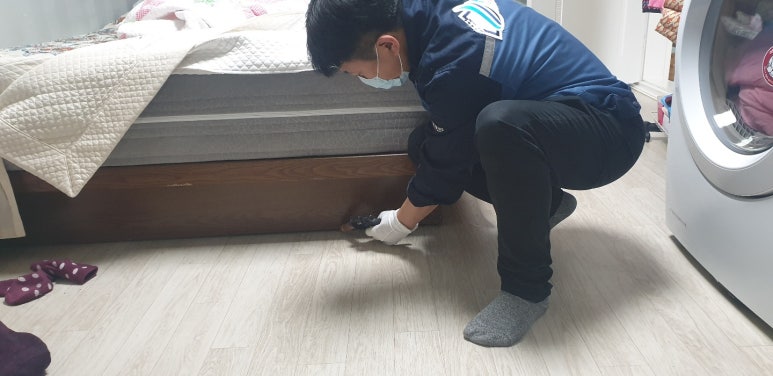 크린방역 이미지