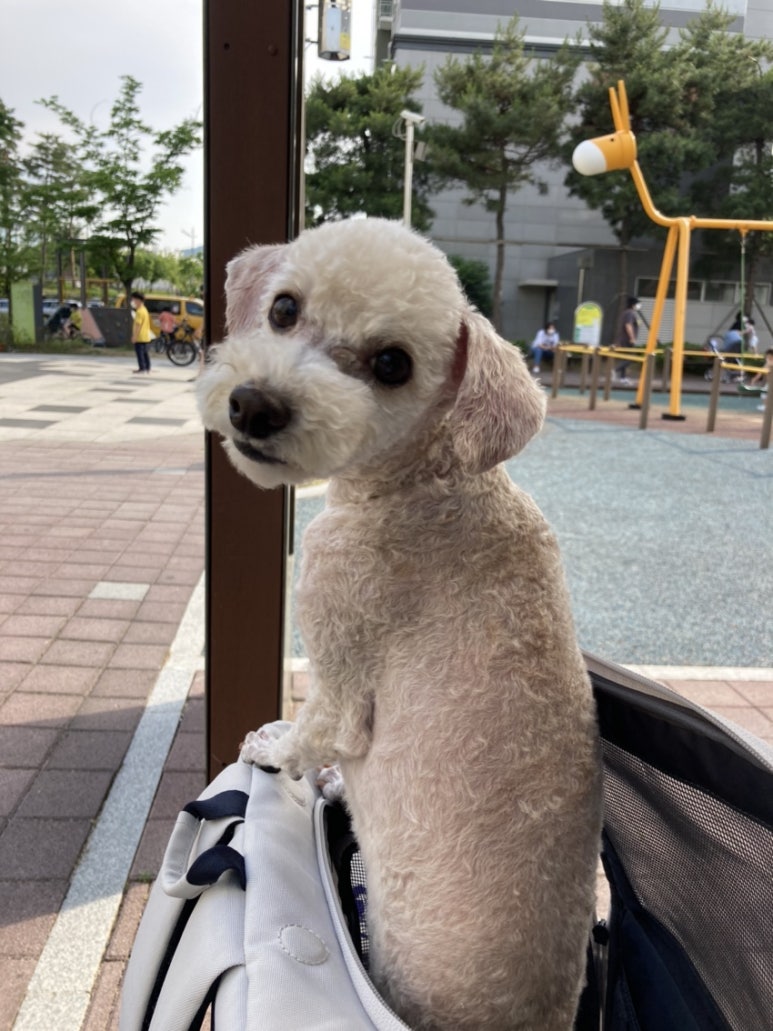 프라임24시 이미지