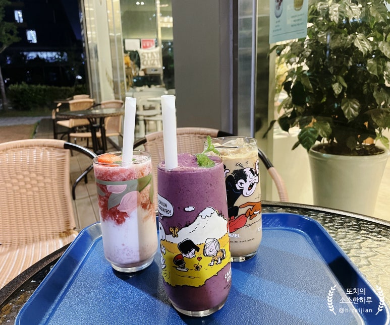 더코지블랭크 이미지