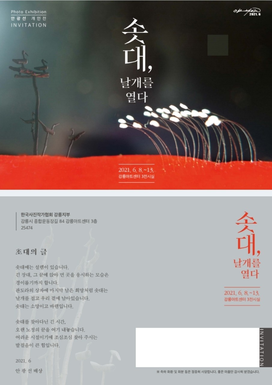 화날개 이미지