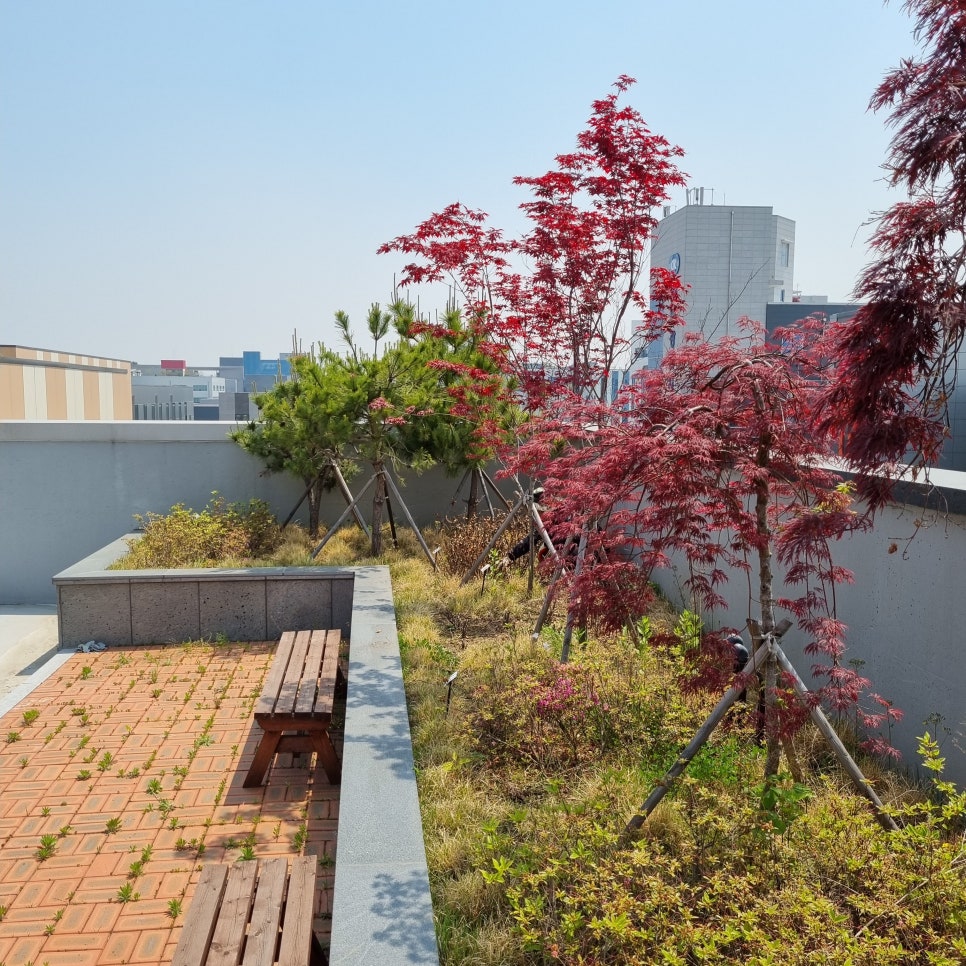 서운조경 이미지