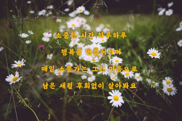 한세상 이미지