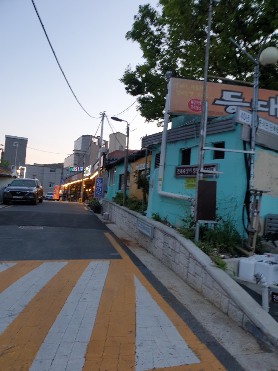 등대이모 이미지