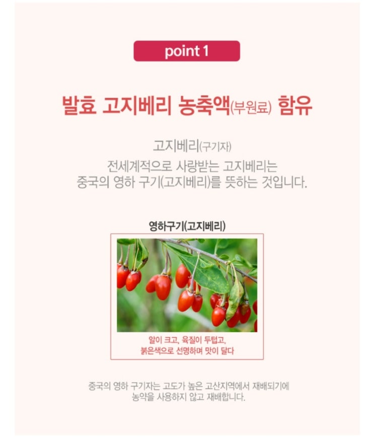 지엔지 이미지