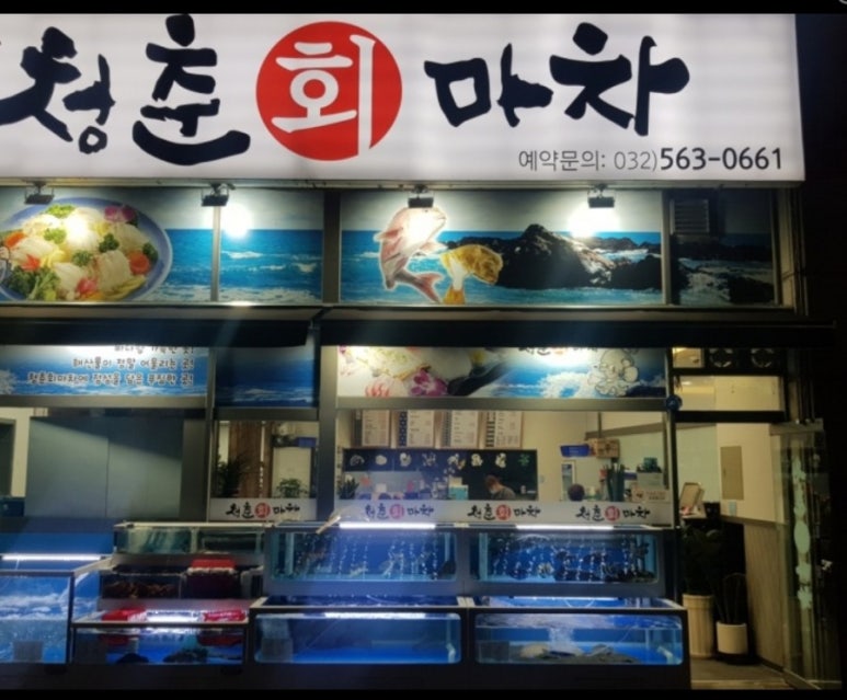 청춘회마차 이미지