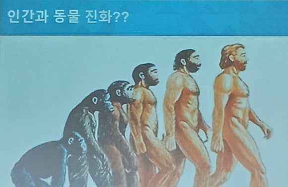 대한걷기협회 이미지