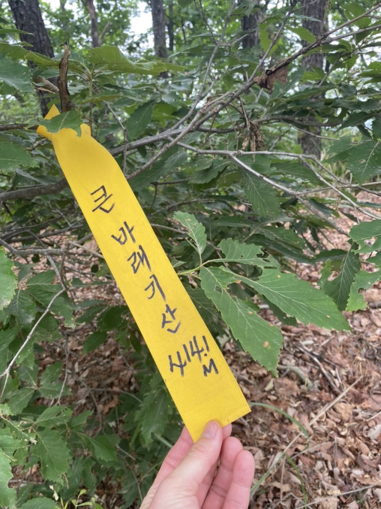 마국산 정상 이미지