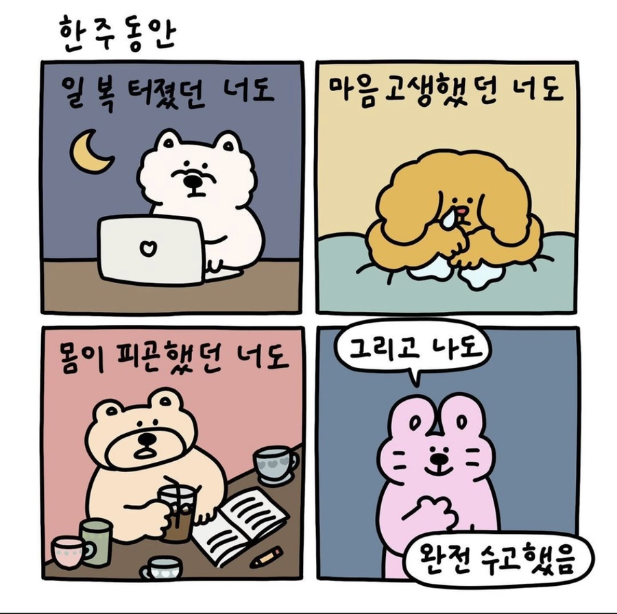 쭈야# 이미지