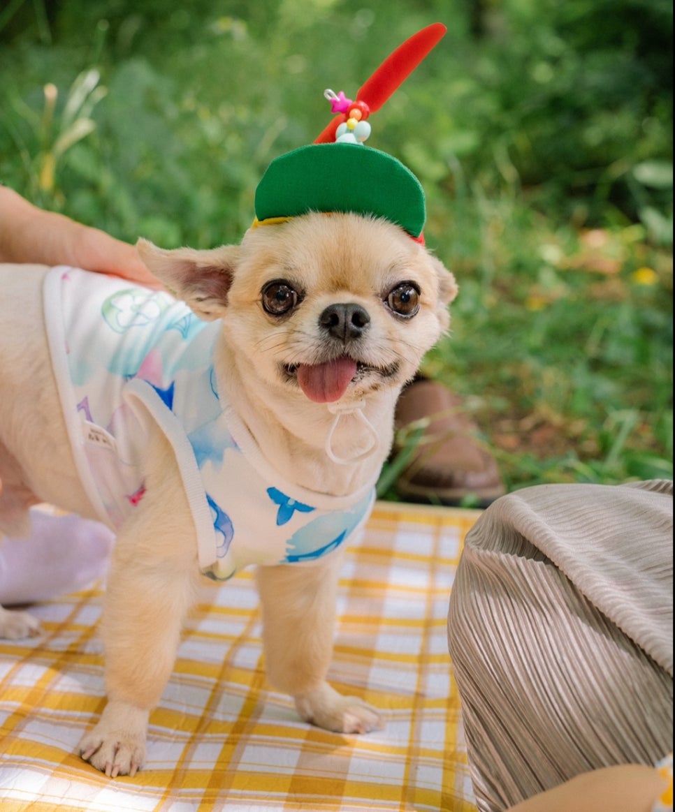 이천나염 이미지