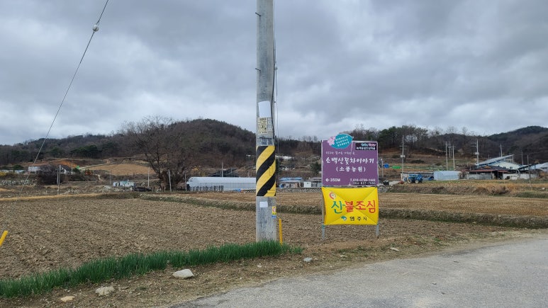 소백산꽃차이야기소풍농원 이미지