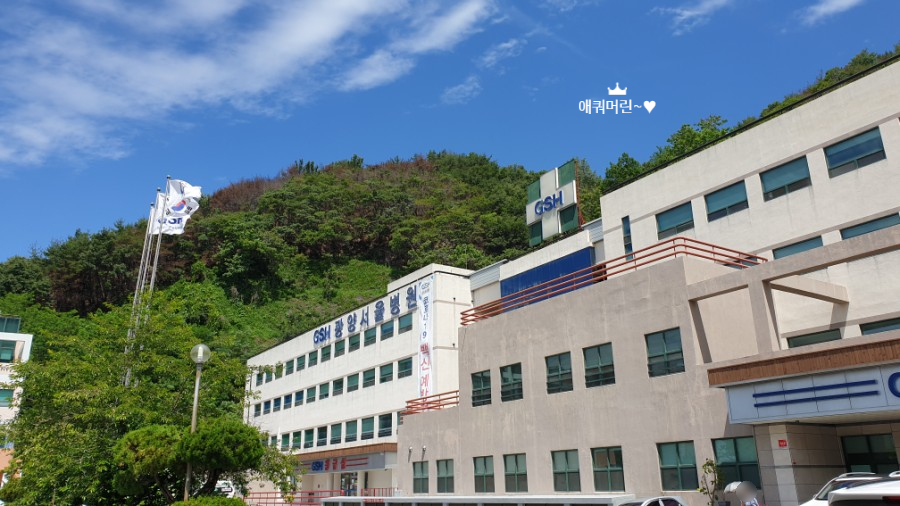 서리서리멸치국수전문점 광양점 이미지