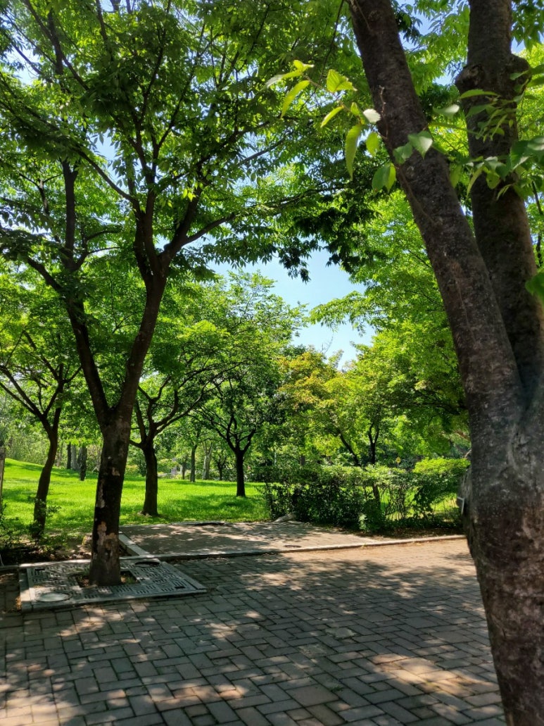 디에프덴탈프렌즈 이미지