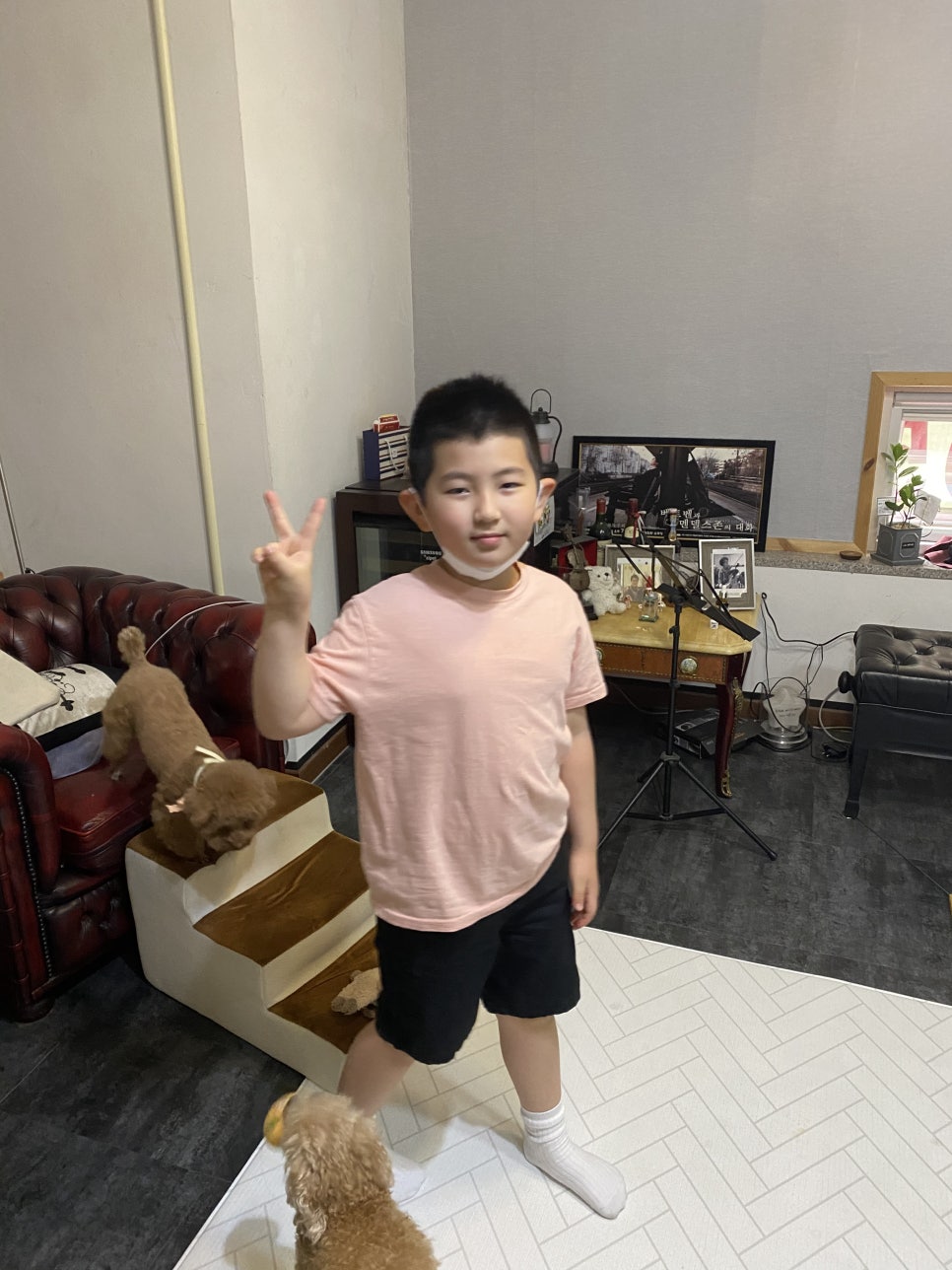 첼로걸 이미지