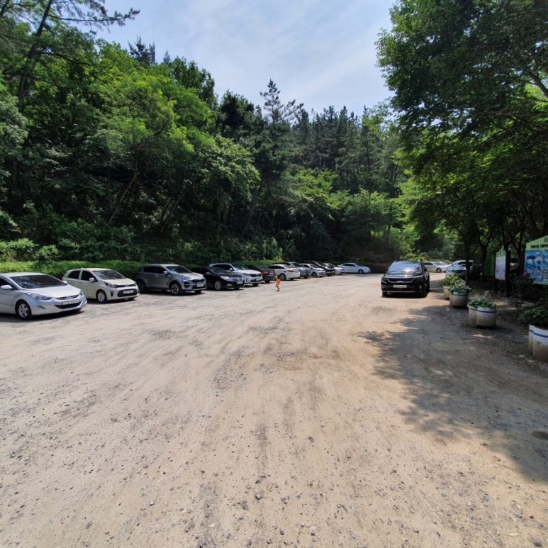 천생산성 유아숲체험원 이미지