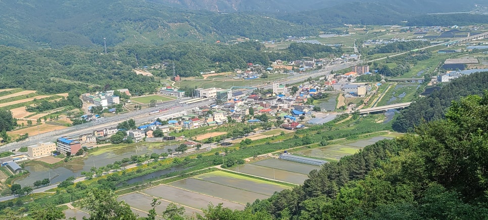 말미산정상 이미지