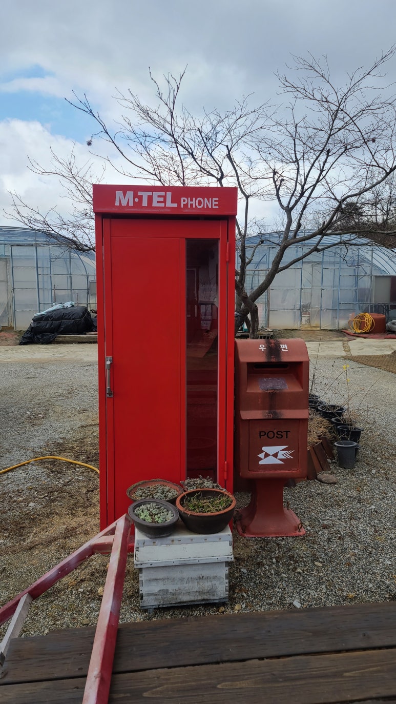 소백산꽃차이야기소풍농원 이미지