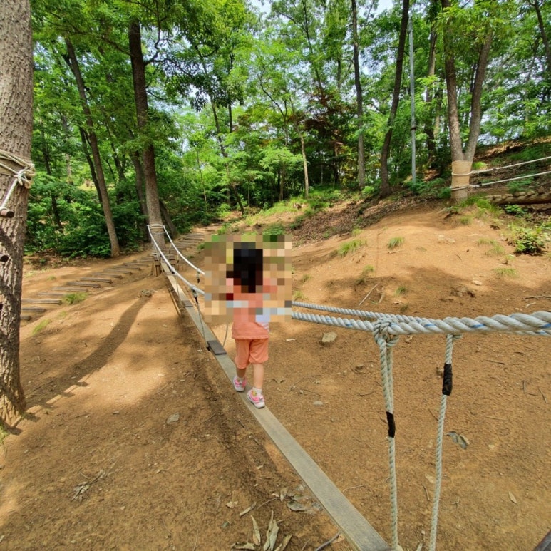 천생산성 유아숲체험원 이미지
