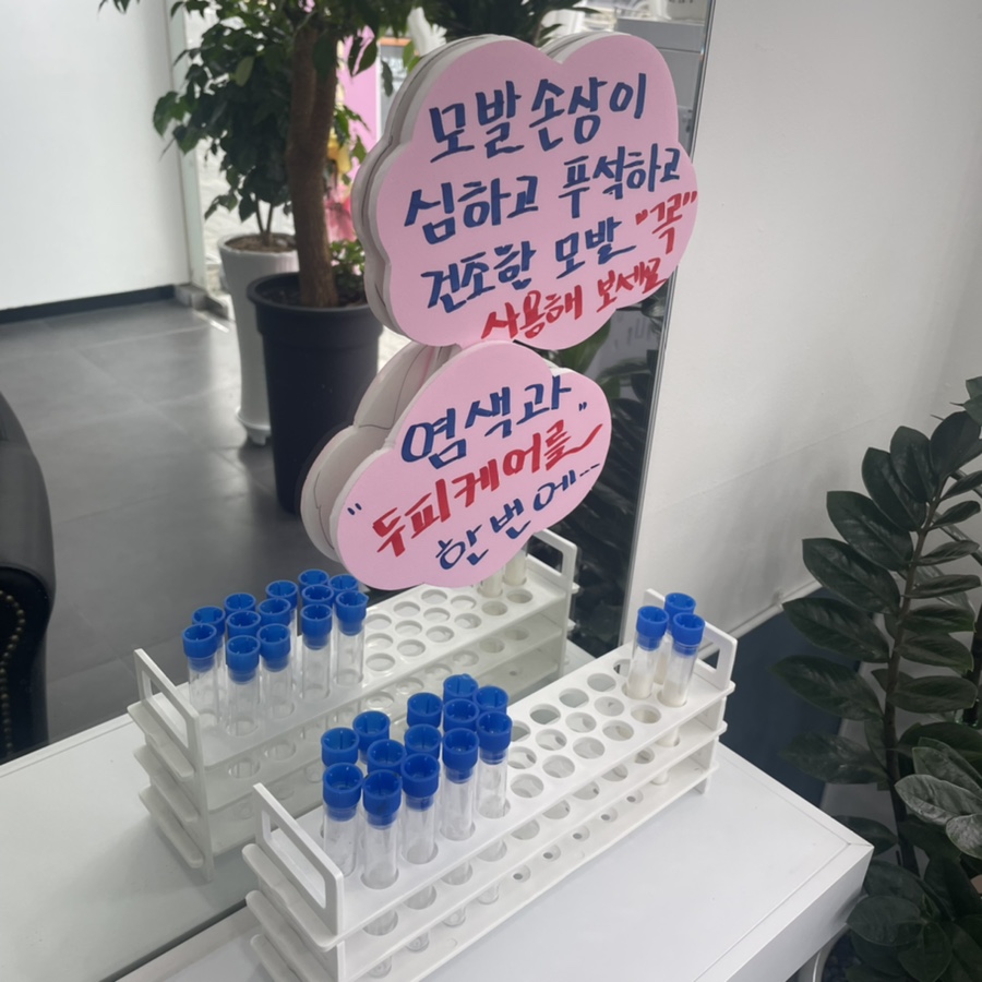 금빛칼라 이미지