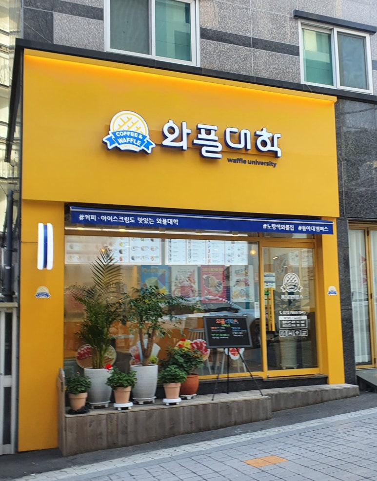 와플대학 동아대캠퍼스 이미지