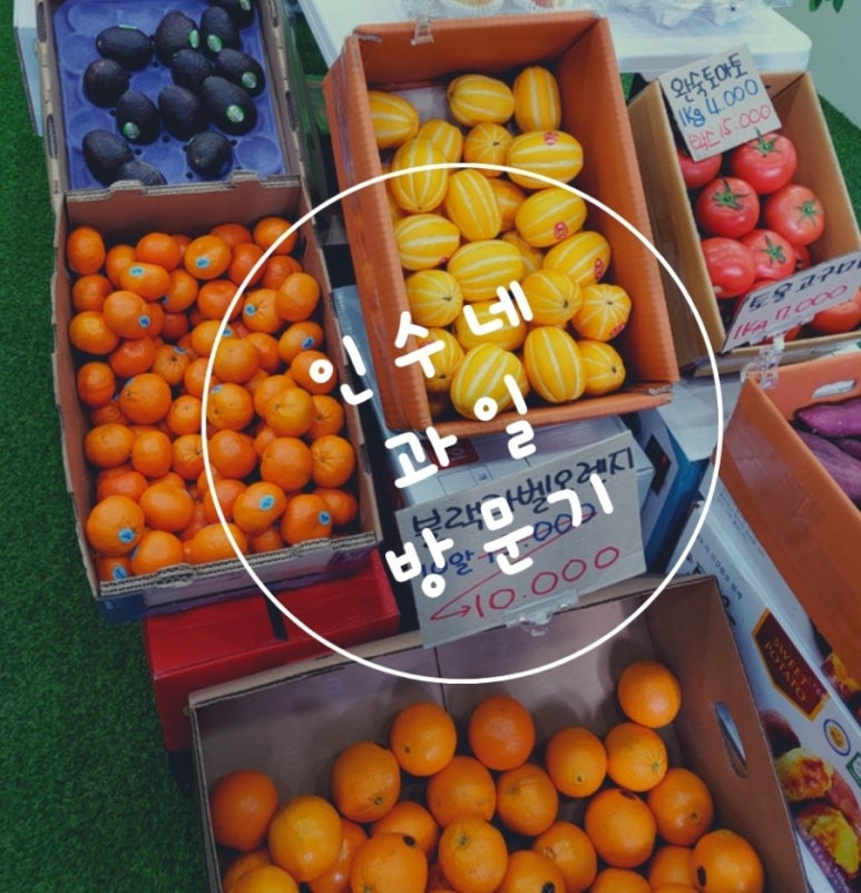 우리동네과일맛집 이미지