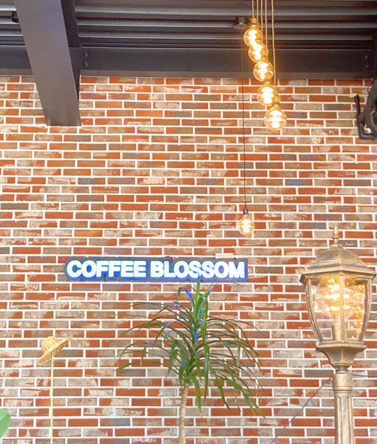 커피블러썸(coffee blossom) 이미지
