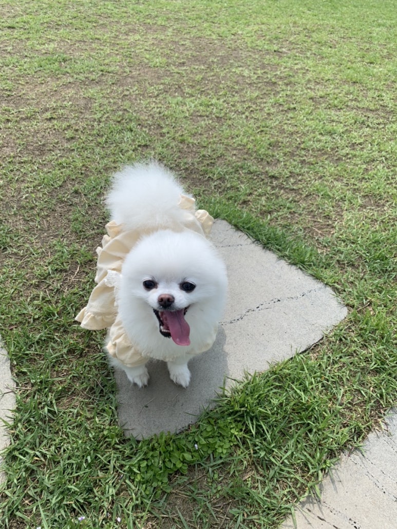 소소양품점 이미지