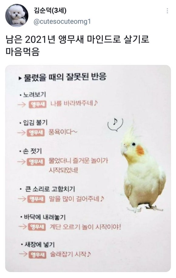굿 퍼스 이미지