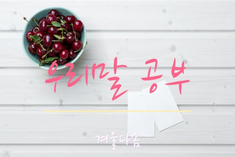 결찌 이미지