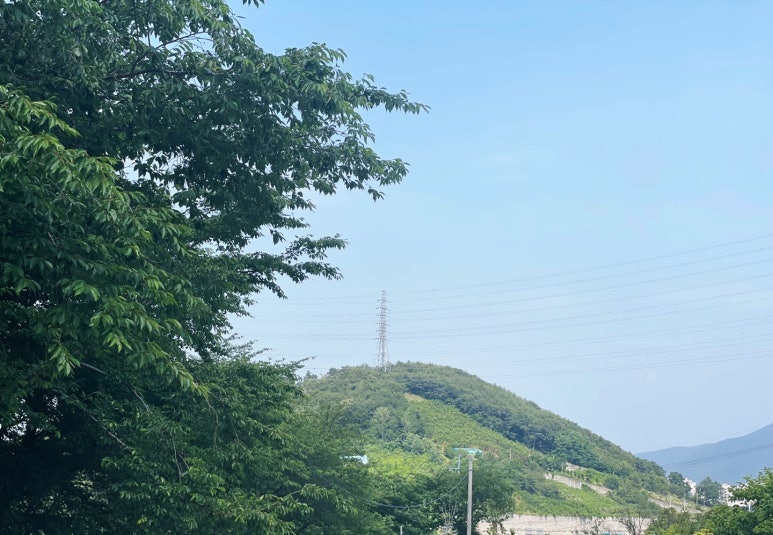 티가렛 이미지