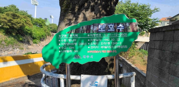 나무투어 이미지