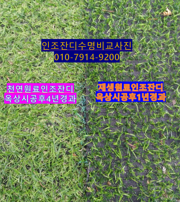 잔디랜드 이미지