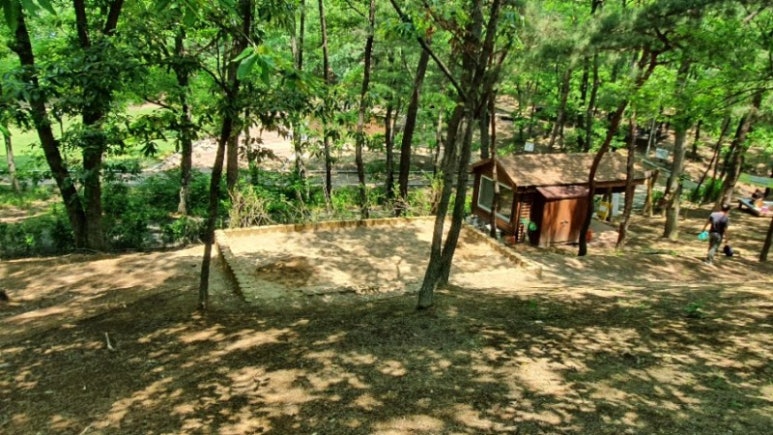비호동산 유아숲체험원 이미지