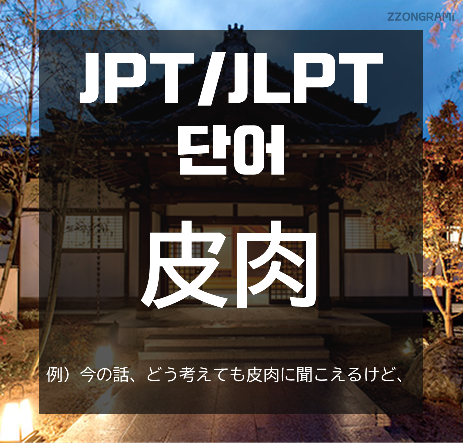 일본어 공부 Jpt Jlpt 단어 皮肉 네이버 블로그
