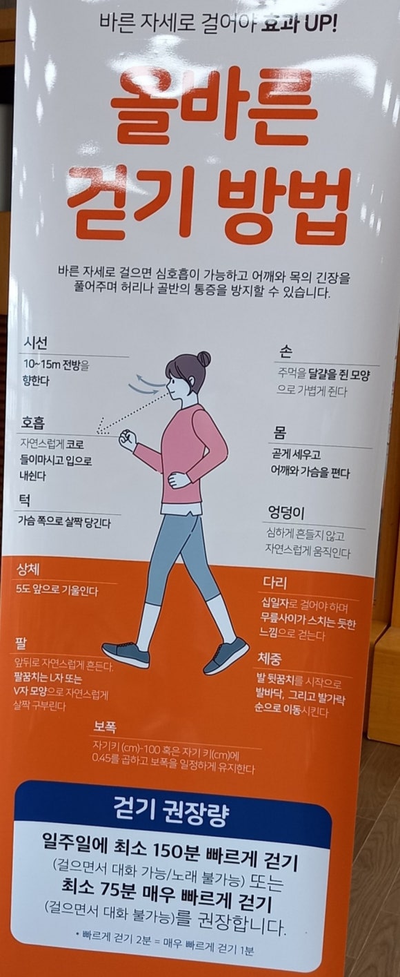 대한걷기협회 이미지