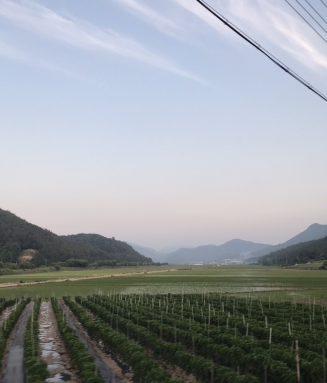 마당한동 이미지
