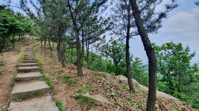 정상부 경관 이미지