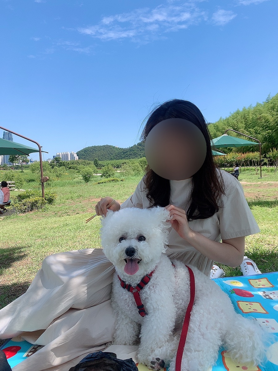 김밥천국건물주 이미지