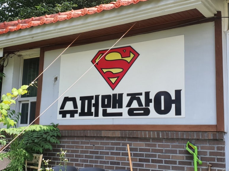 슈퍼맨장어 이미지
