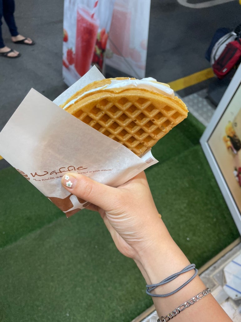 노란꼬무줄 이미지