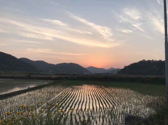 마당한동 이미지