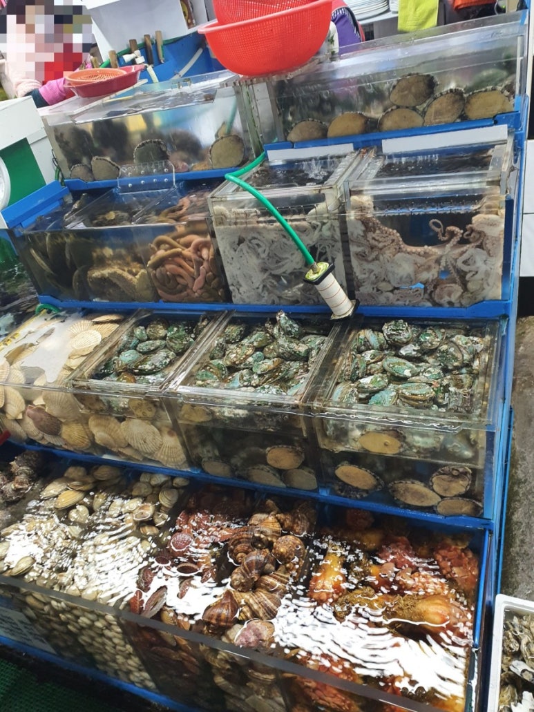 덕화상회 이미지