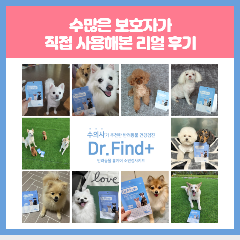 닥터파인드 이미지